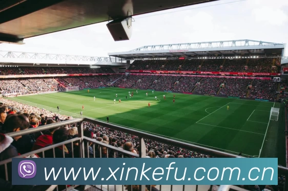 多媒体互动体验